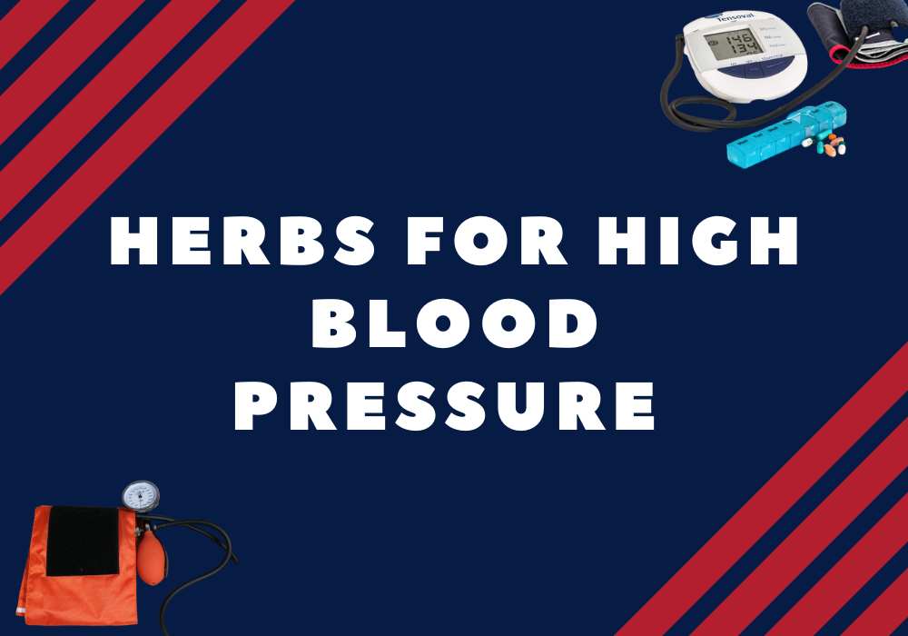 high-blood-pressure-herbs