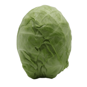 cabbage
